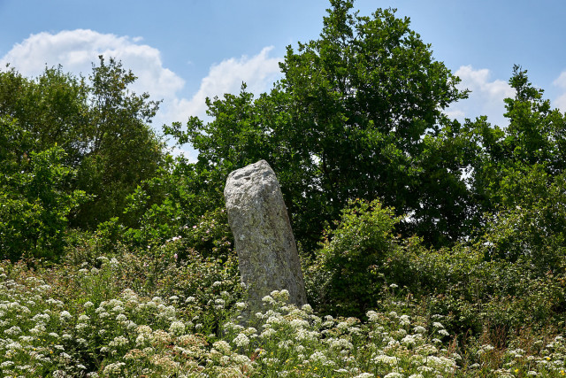 2023-05-menhir-des-landes-123600-8303