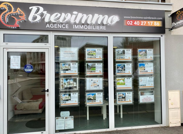 brevimmo-6418