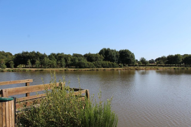 circuit-randonnees-de-la-fontaine-st-pere-en-retz-ccse-st-brevin-loire-atlantique-14