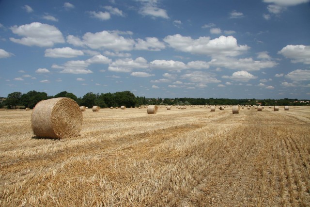 circuit-randonnees-des-landes-frossay-ccse-st-brevin-loire-atlantique-16