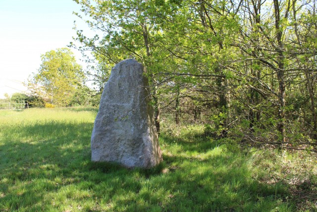 menhir-plessis-gramat-2530