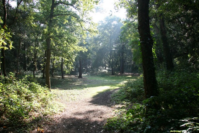 nature-et-environnement-brevinois-st-brevin6-1351