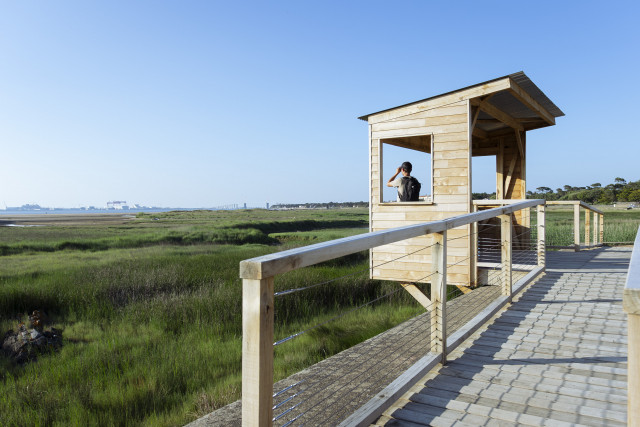 observatoiredesoiseaux1-10710