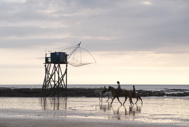 saintbrevinlespins-foretpierreattelee-pecheriecavaliers-bd-ddufour-2021-8872