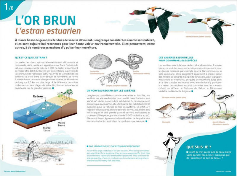 1-estran-6199 1-estran-6199