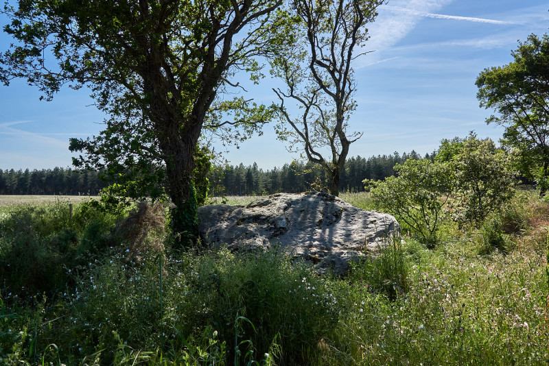 2023-05-dolmen-de-la-gauterie-175353-8301