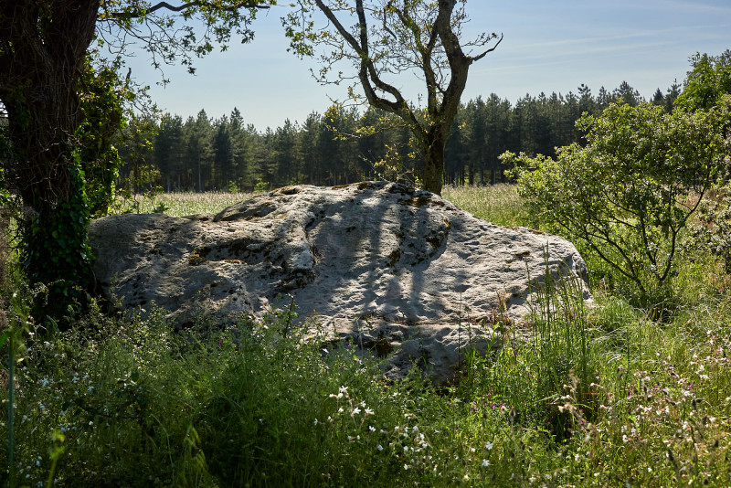 2023-05-dolmen-de-la-gauterie-175409-8299