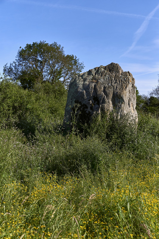 2023-05-menhir-de-la-me-gerie-181612-8271