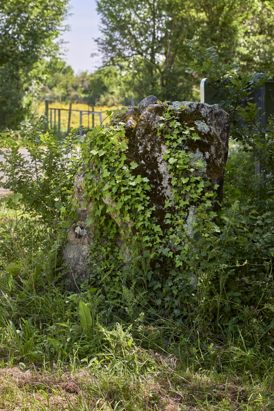 2023-05-menhir-de-la-pierre-blanche-161706-8277