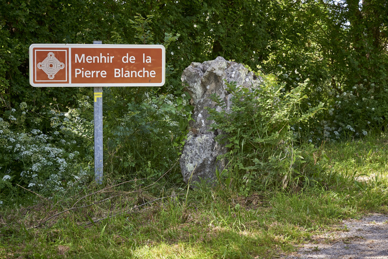 2023-05-menhir-de-la-pierre-blanche-162524-8278