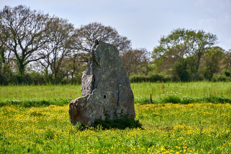 2023-05-menhir-de-la-riveraie-162026-8291