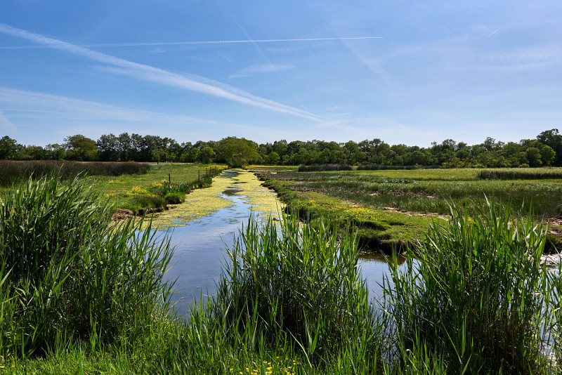 2023-05-menhir-de-pierre-bonde-172245-11167