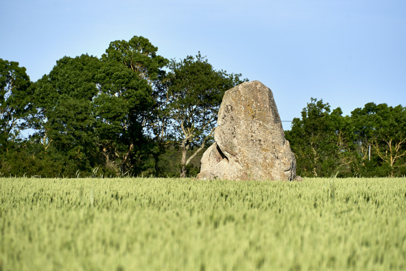 2023-05-menhir-des-cassis-185828-8272