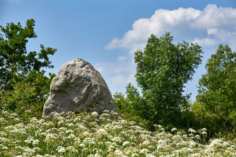 2023-05-menhir-des-landes-124107-8305