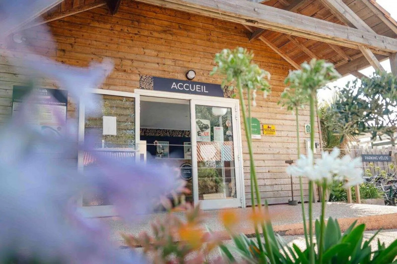 accueil-1-11316