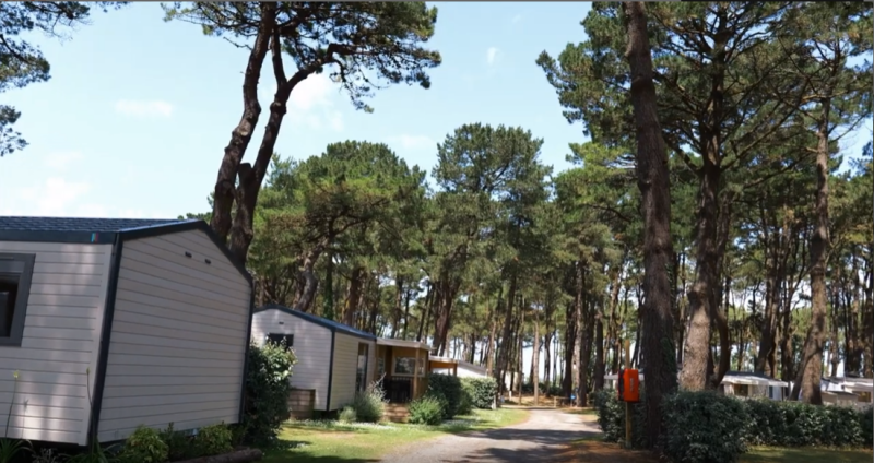 all-e-camping-1-11317