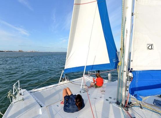 balades-en-mer-catamaran-mouette-and-sea-5272