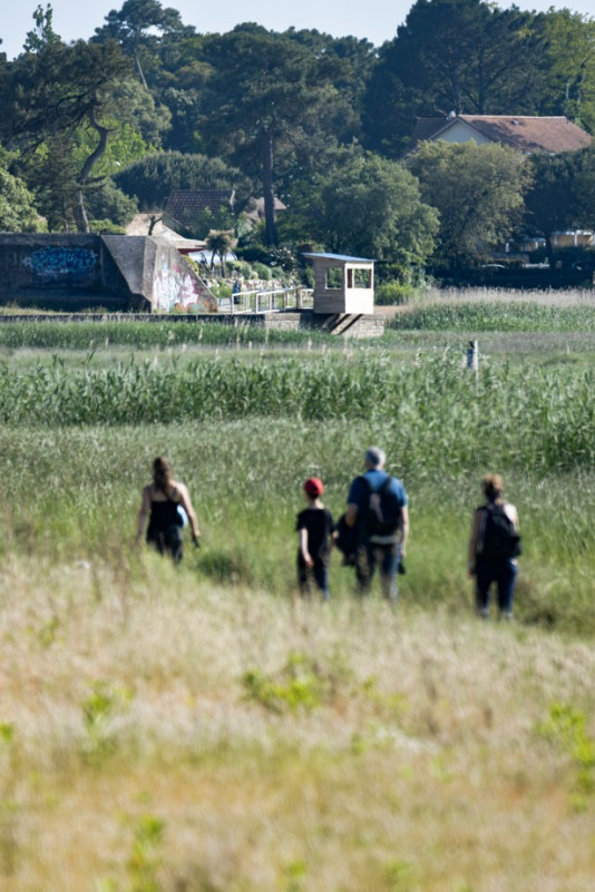 capture-d-cran-2025-10-31-111910-10712