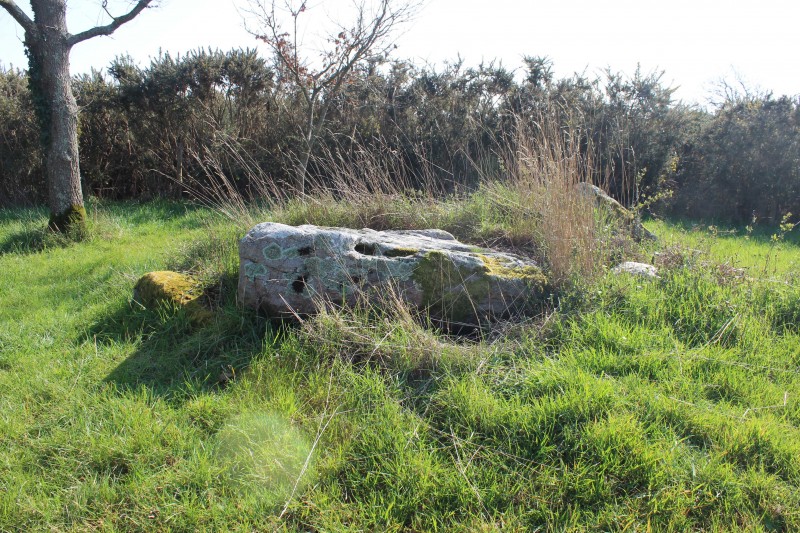 dolmen-de-la-briordais-1-2521