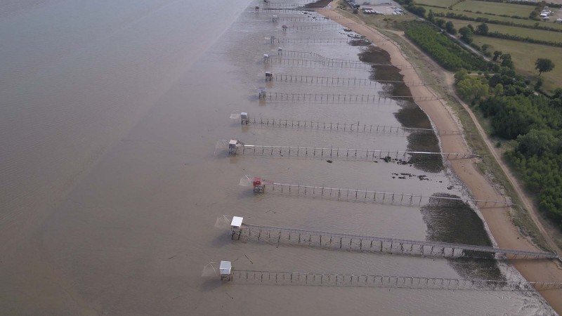 estuaire-de-la-loire-saint-brevin-sud-estuaire-8