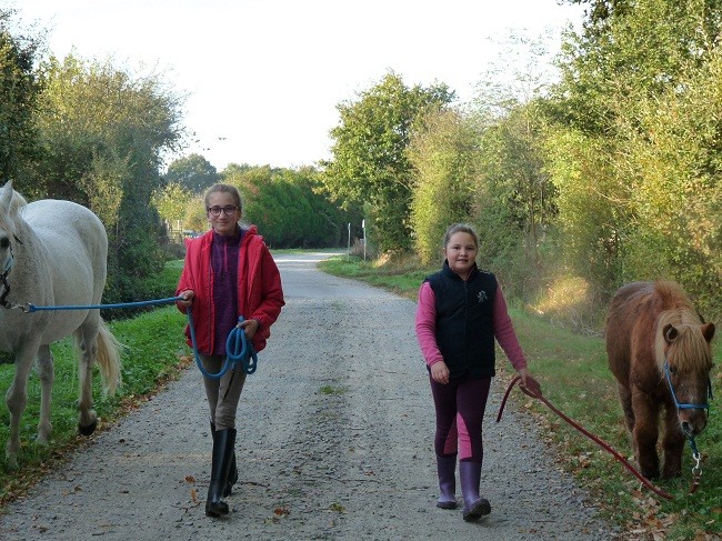 ethologie-transhumance-equi-coaching-st-brevin-tourisme15-3895