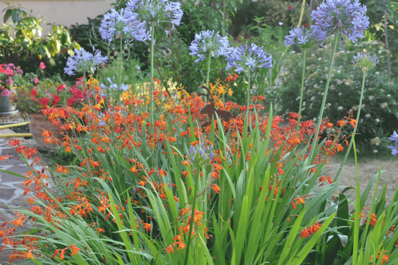 Fleur de SelST BREVIN LES PINS