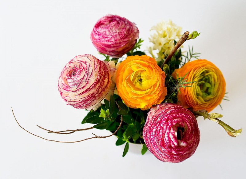 flowers-342532-1920-605