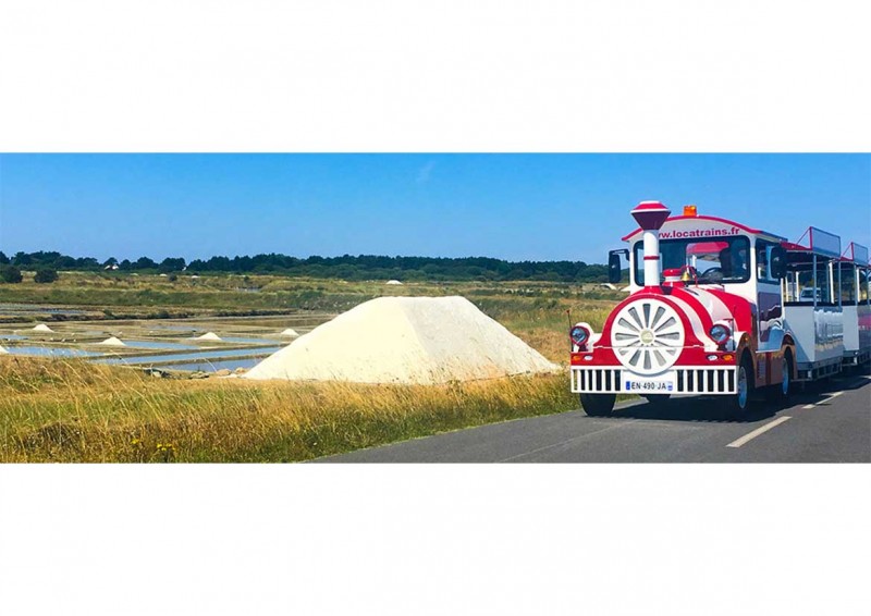 le-petit-train-des-marais-salants-guerande-6-2012