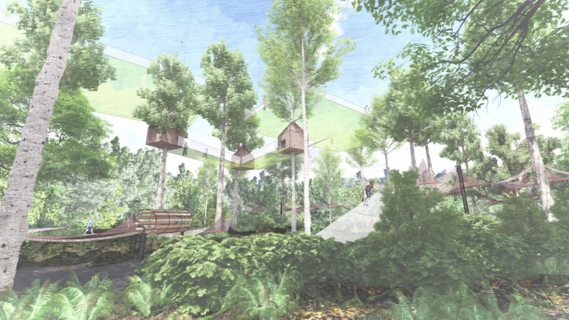 les-mysteres-de-la-foret-nouveaute-2021-terra-botanica-4-5519