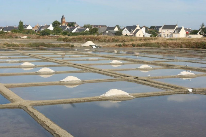 maison-des-paludiers-guerande-1-2036