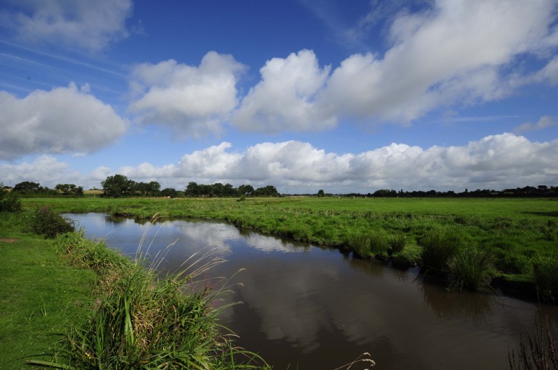 marais-saint-viaud-s-bregeon-780