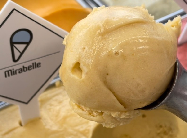 Mirabelle Folie Glacée Saint-Brevin mirabelle-folie-glacee-saint-brevin-10939