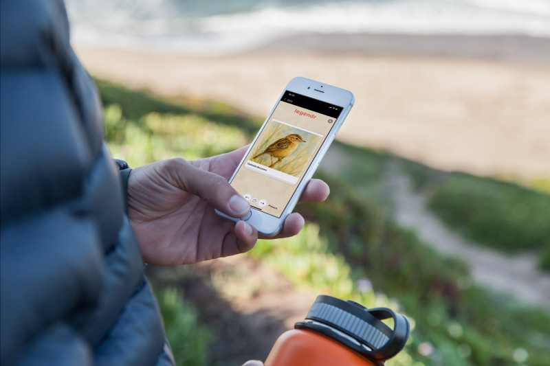 mockdrop-iphone-6-at-the-beach-2-10229