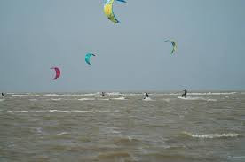 newkite-11459 newkite-11459