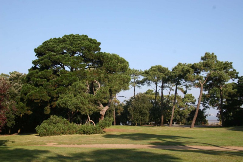 parc-du-pointeau-randonnees-loire-atlantique-2-1485