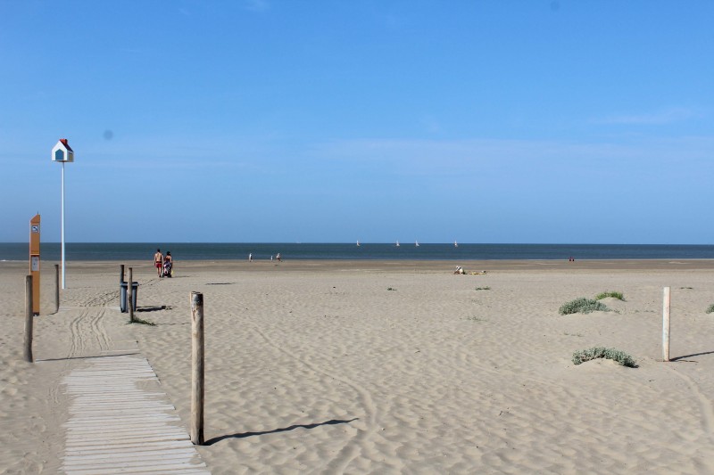 Plage de l'Océan — free download