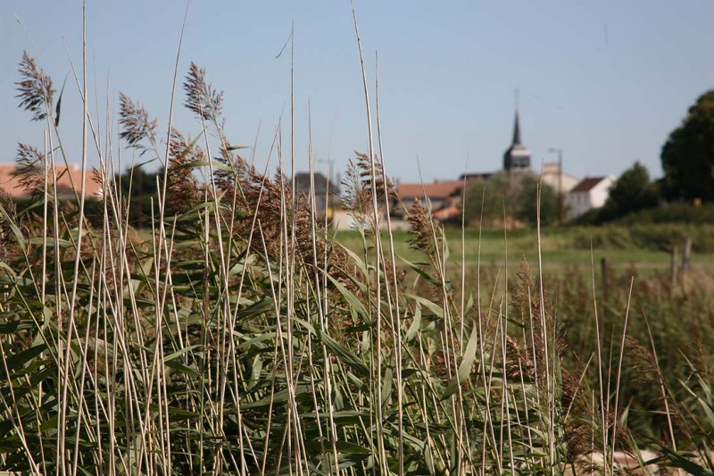 port-maison-verte-corsept