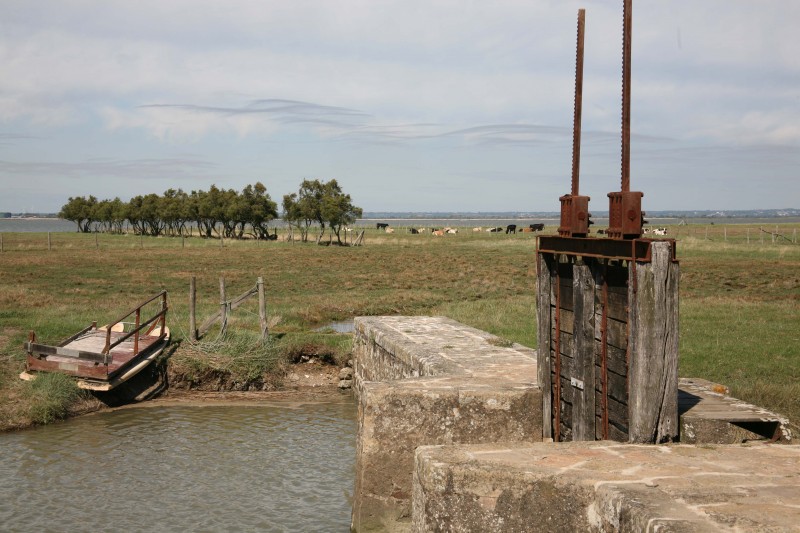 port-maison-verte10-589