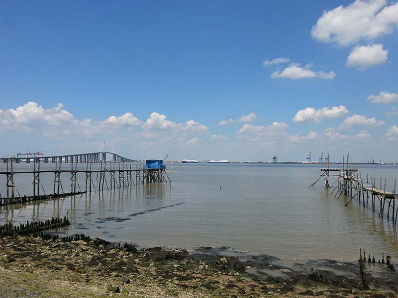 randonnees-st-brevin-sud-estuaire-ccse-loire-atlantique-estuaire-loire-2-1489