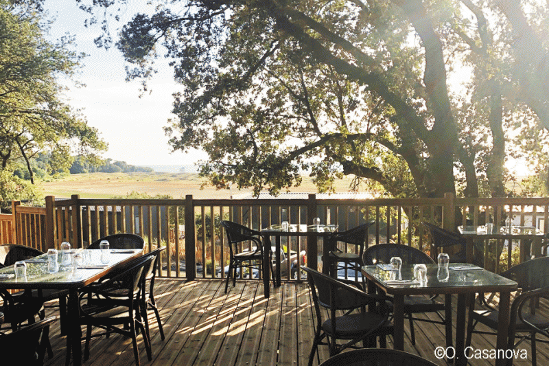 restaurant-cotes-et-dunes-st-brevin-tourisme-terrasse-face-mer-4334