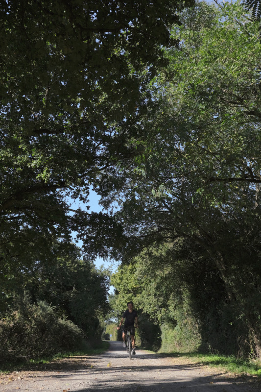 saintbrevin-rando-velo-ddufour-11068