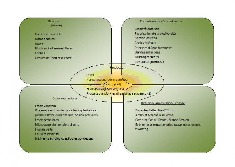 schemacohernce-10781 schemacohernce-10781