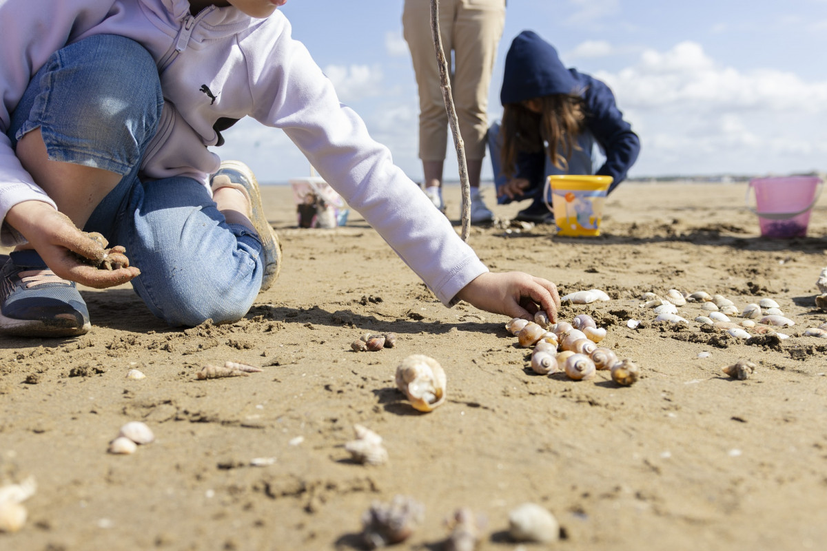 la-chasse-aux-tr-sors-sur-la-plage-emiliebeaulieu-31053