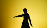 10-30-faire-troupeau-maxime-devige-copie-32261
