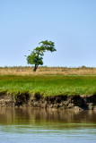 2024-06-croisie-re-sur-la-loire-a-paimboeuf-160950-31198