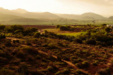 6343005fb9d4ce080fb012a3-photo-cdm-afrique-du-sud-19627