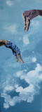 acrobates-iodes-50x20-23179