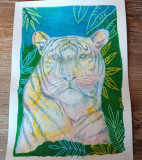 animaux-color-s-27829