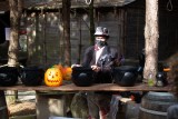 anims-halloween-13493