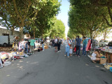brocante-3-m-laine-tanguy-hardy-27121